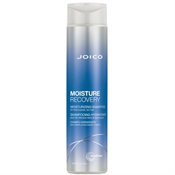 Joico Moisture Recovery Shampoo 300ml